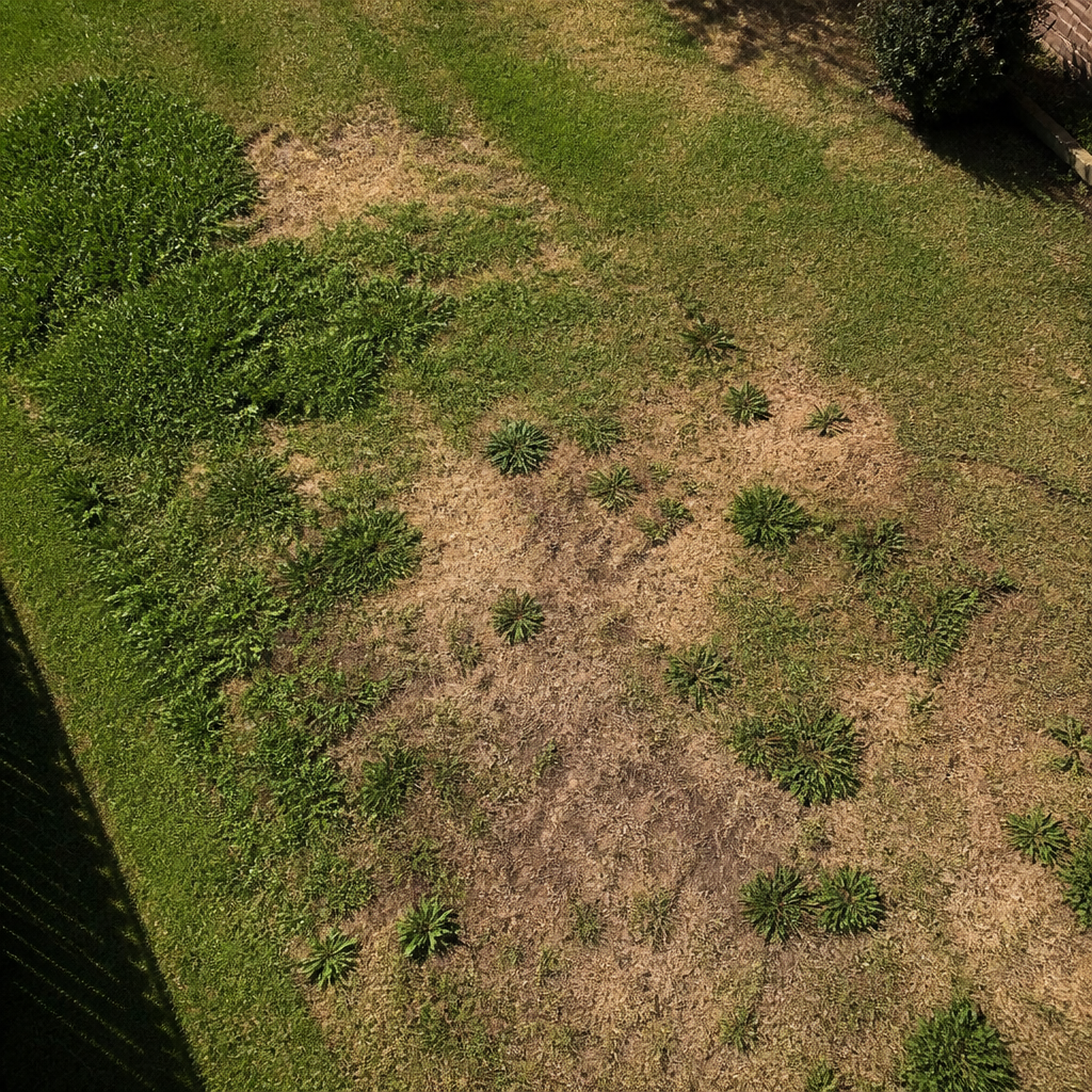 Overhead view of a struggling lawn with brown patches and sparse grass coverage