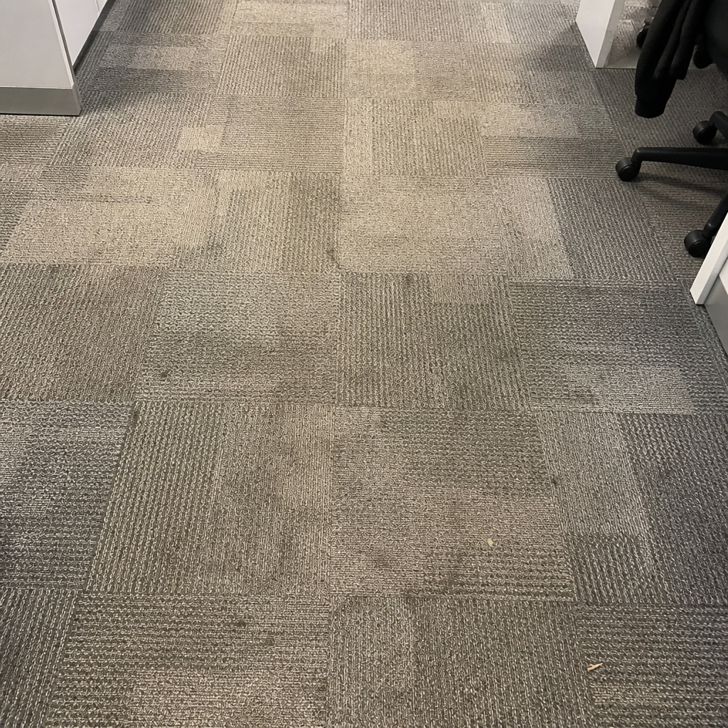 Close-up of dirty office carpet showing dust and foot traffic wear patterns