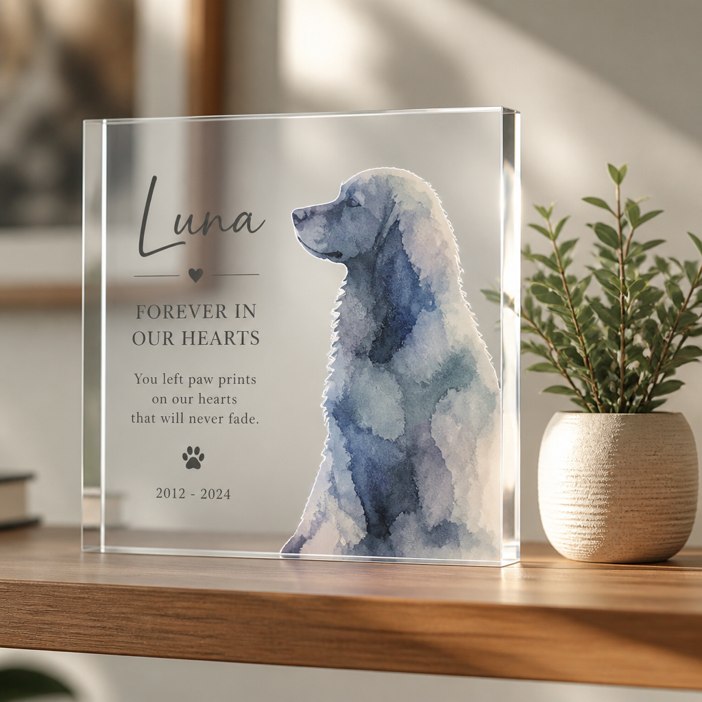 Acrylic pet memorial art piece with pet silhouette displayed on shelf with potted plant